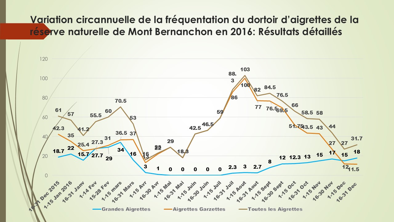 Nombres moyens d'Aigrettes garzette (courbe orange), de Grandes aigrettes (Courbe bleue) et de l'ensemble des aigrettes (courbe brune) comptées le soir sur le dortoir du Dépôt 54 en 2016.