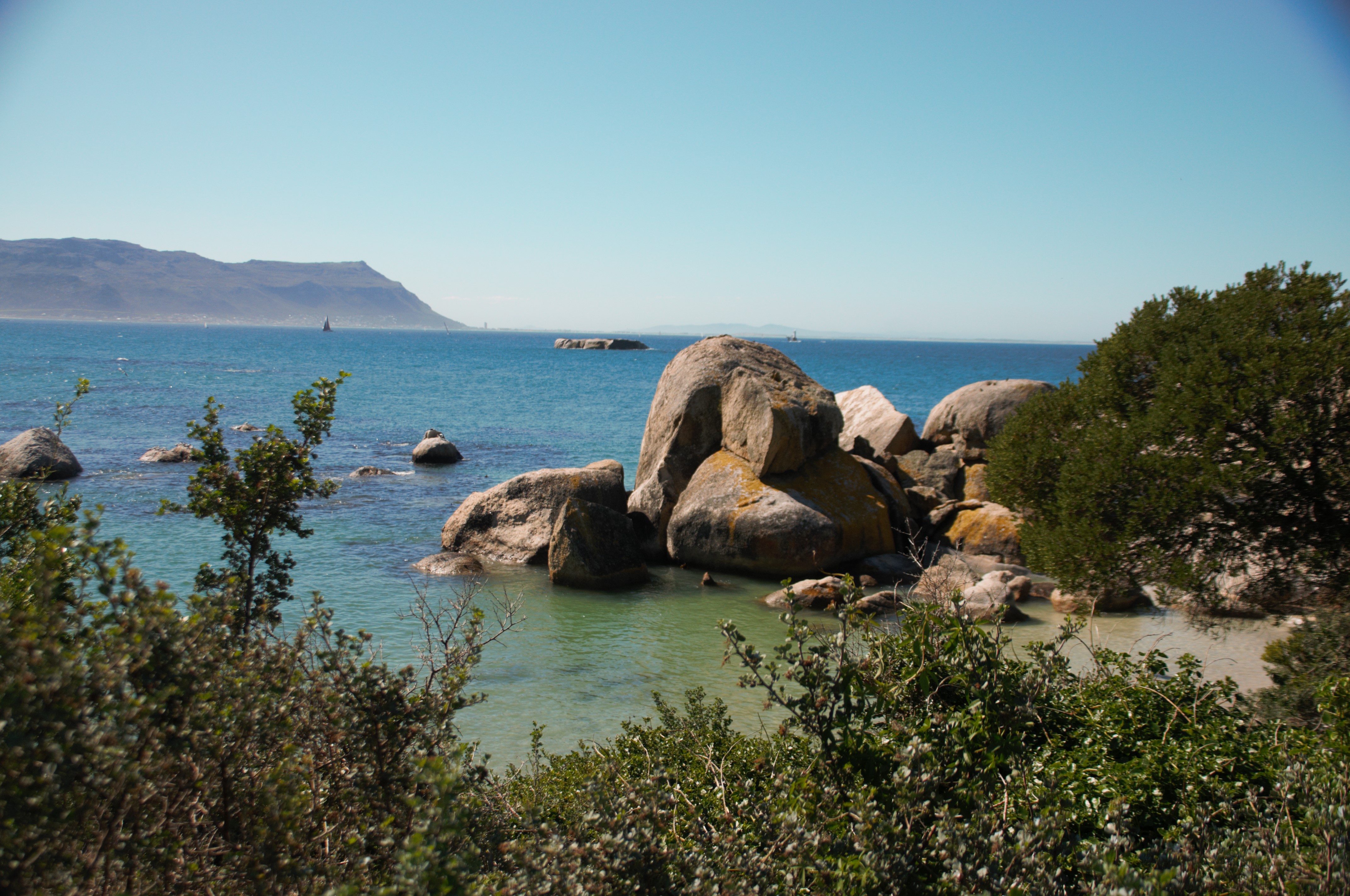 Boulders’ beach, Western Cape, Afrique du Sud : boulders et végétation côtière.