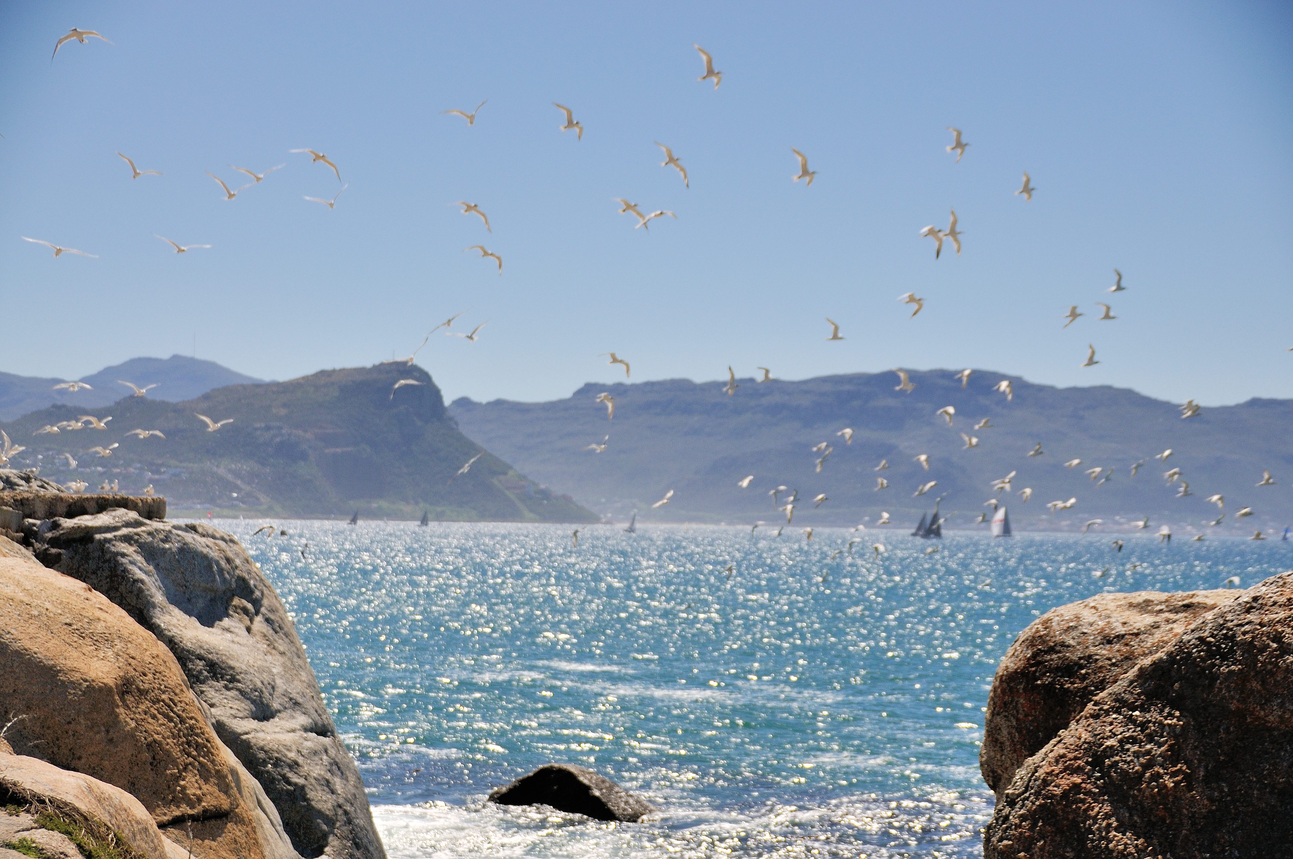 Vue sur la False Bay depuis Boulders' beach.