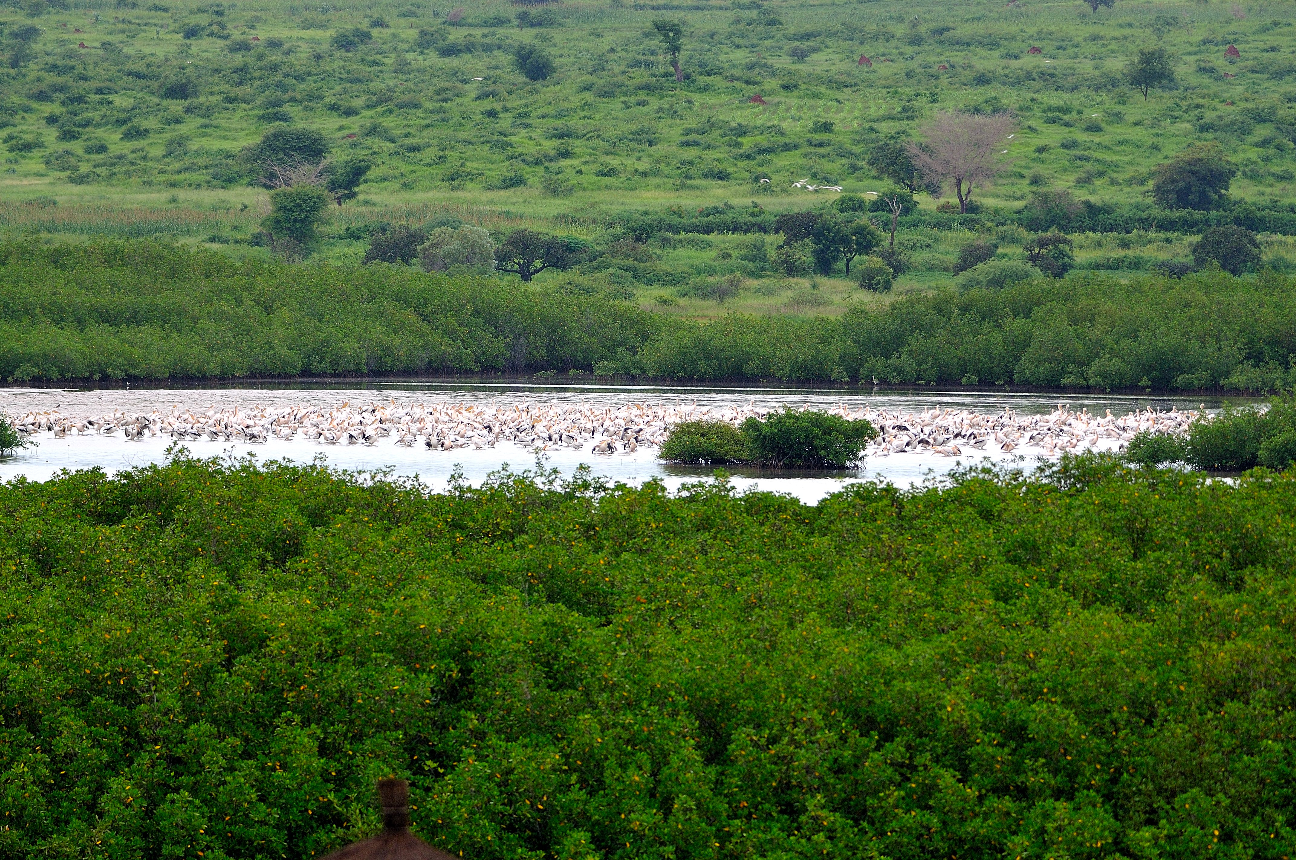 Lagune de la Somone (extrémité Nord-Ouest) vue de notre terrasse au grossissement 400