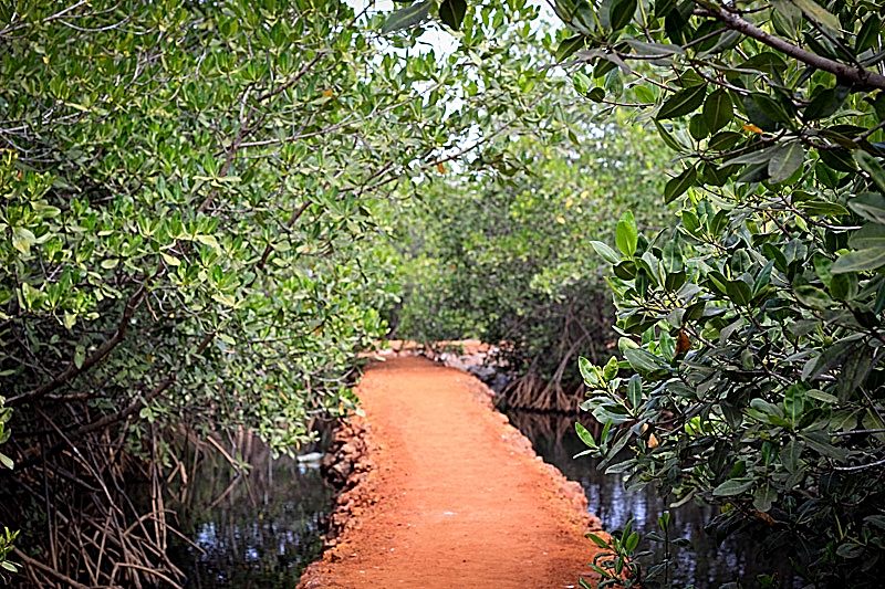 L’entrée du sentier écologique de la Réserve Naturelle d’Intérêt Communautaire de La Somone.